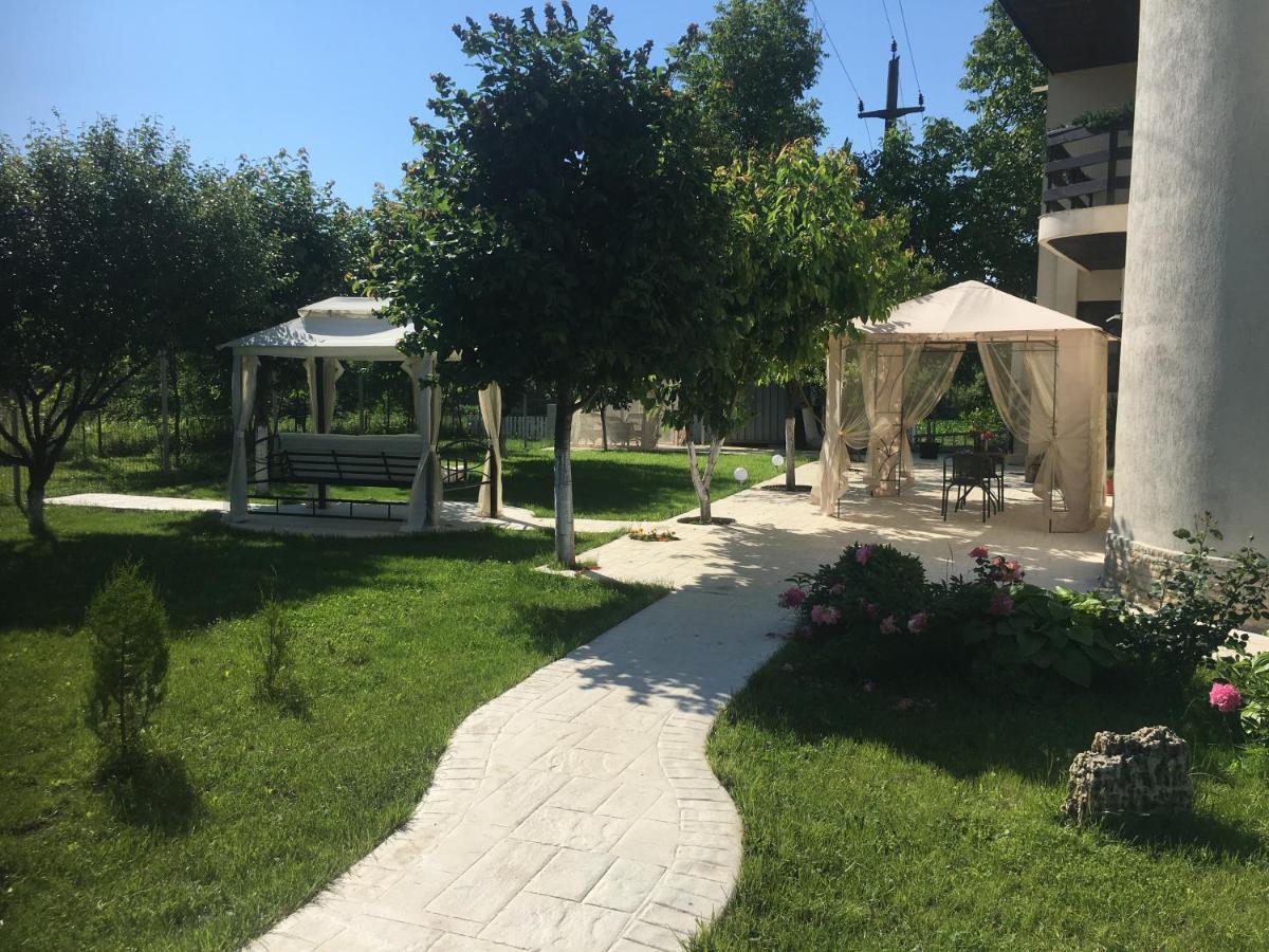 Zoe Bucharestairport&therme&parking בית הארחה