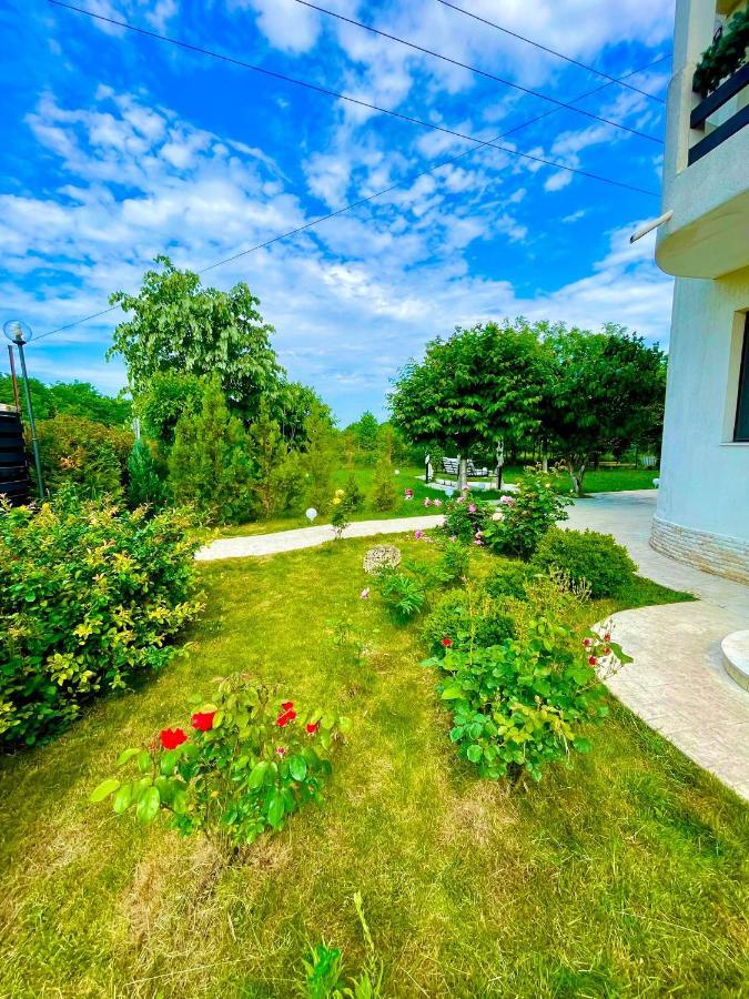 Zoe Bucharestairport&therme&parking * Otopeni
