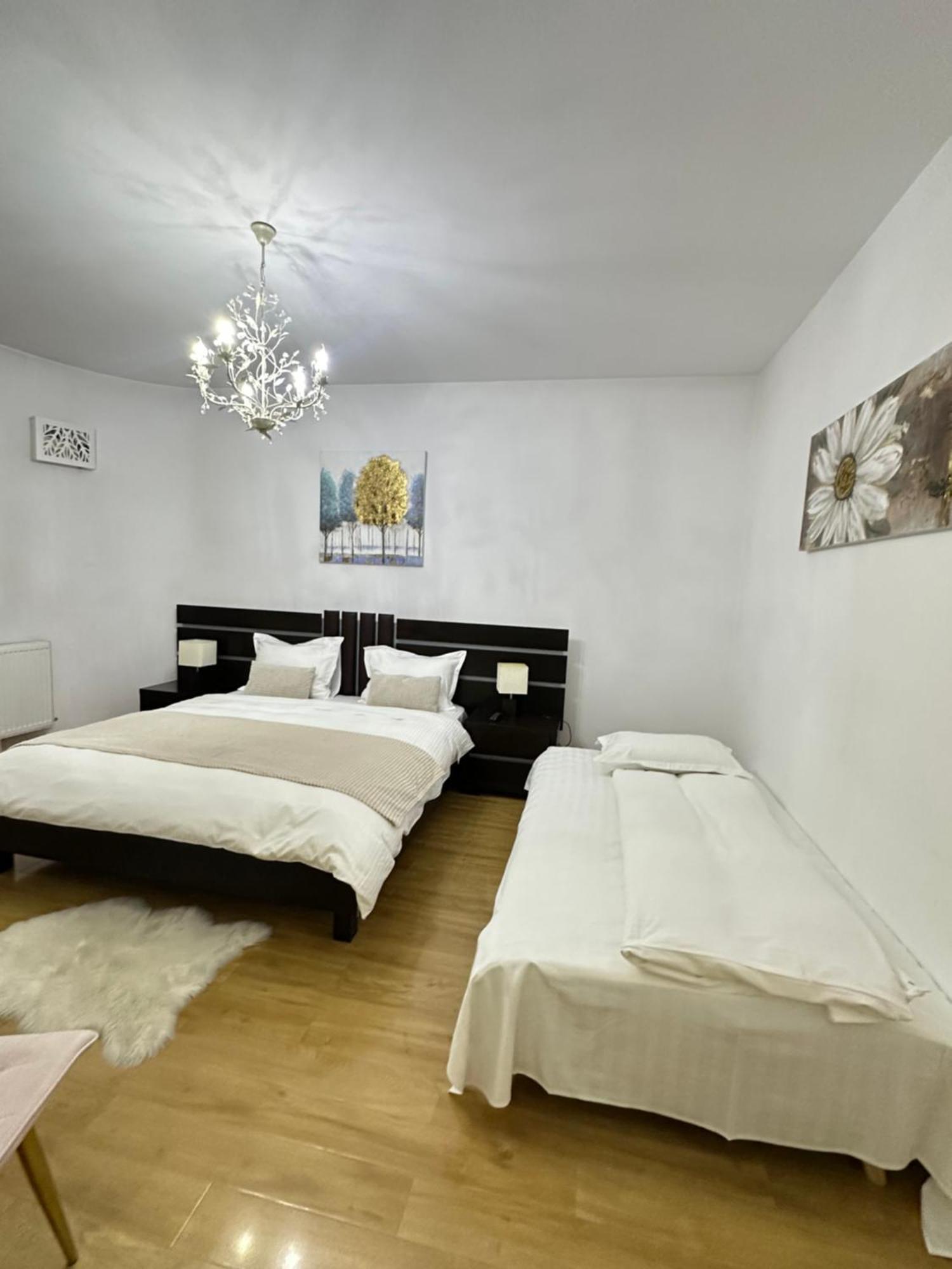 בית הארחה Zoe Bucharestairport&therme&parking *