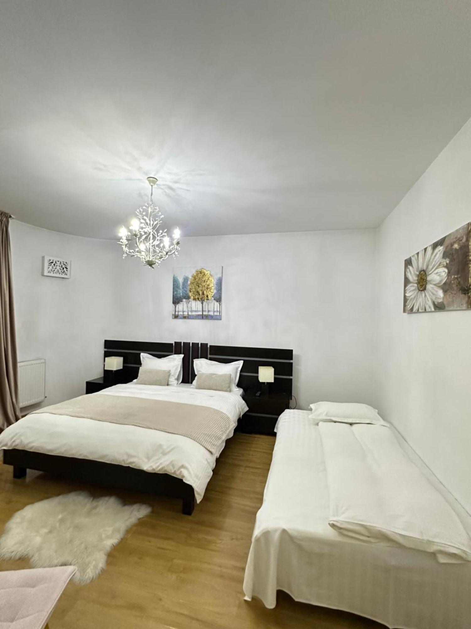 בית הארחה Zoe Bucharestairport&therme&parking