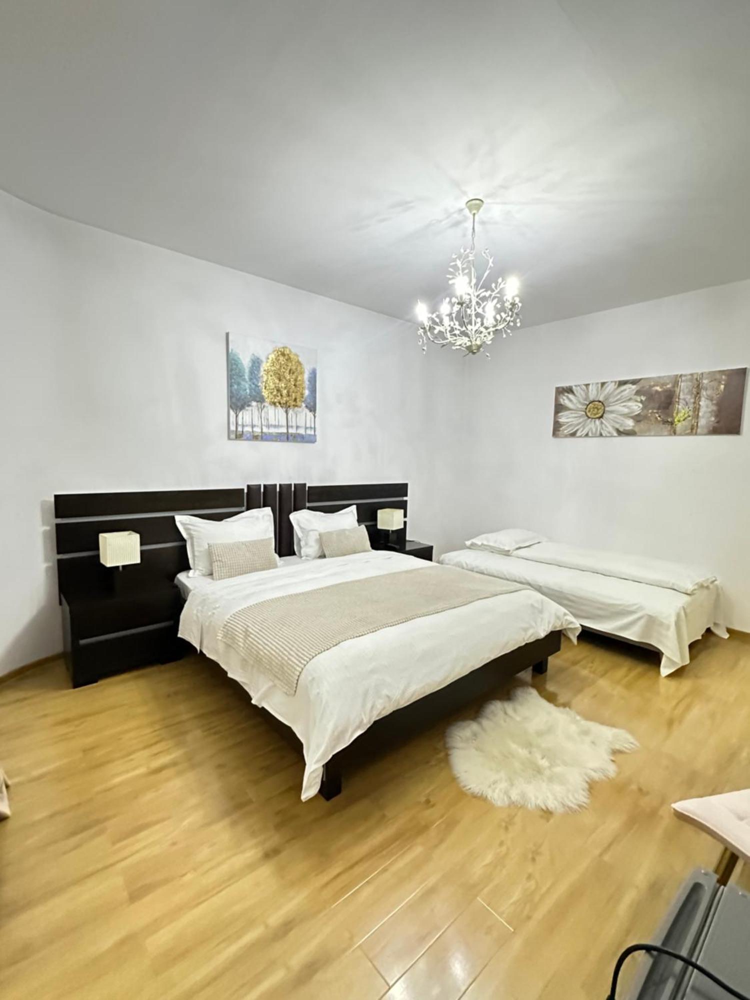 Zoe Bucharestairport&therme&parking בית הארחה