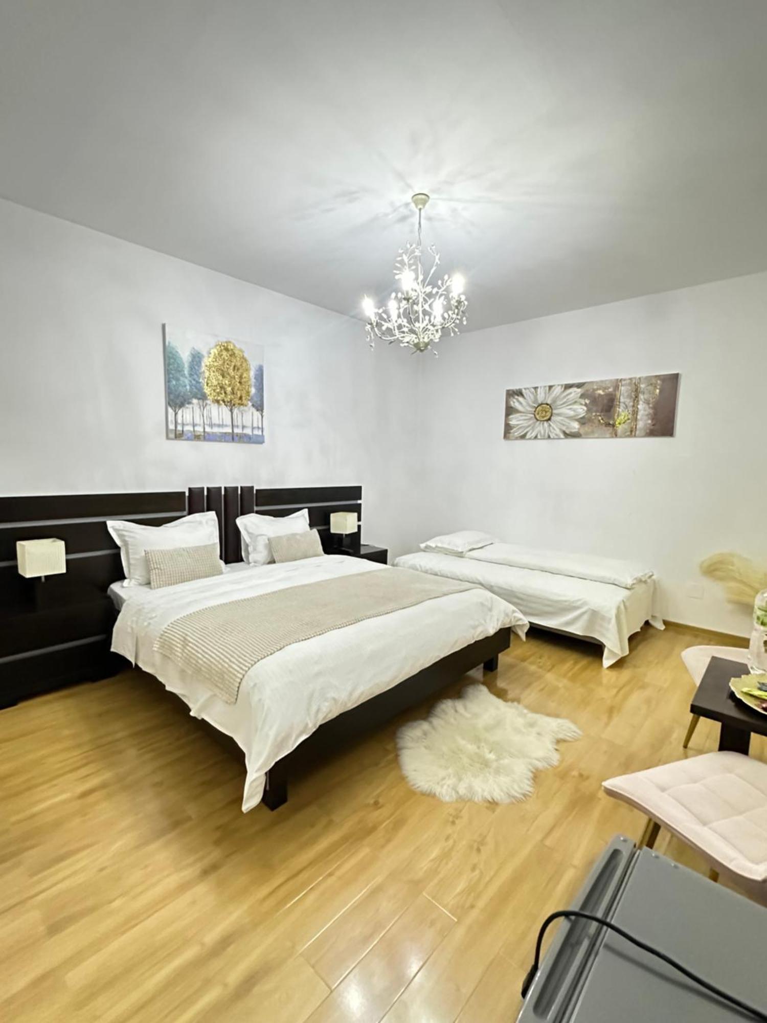 Zoe Bucharestairport&therme&parking * Otopeni